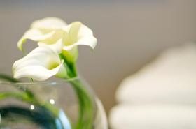 Hôtel d'Orléans - photo 6