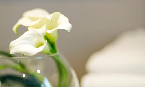 Hôtel d'Orléans - photo 3