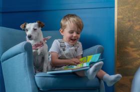 Novotel Orléans Chemins De Sologne Demeures De Campagne - photo 23