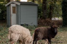 Novotel Orléans Chemins De Sologne Demeures De Campagne - photo 25