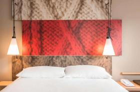 ibis Orleans Centre Gare - photo 20